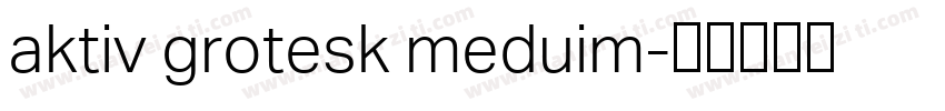 aktiv grotesk meduim字体转换